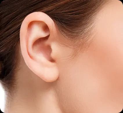 Ear (Wax)